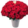 rode rozen kopen