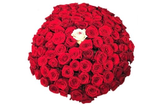 50 rode rozen
