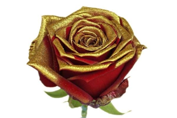 Vip-roses - Rozen in alle kleuren met glitters, choco, bling