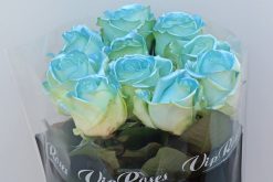blauwe satin rozen