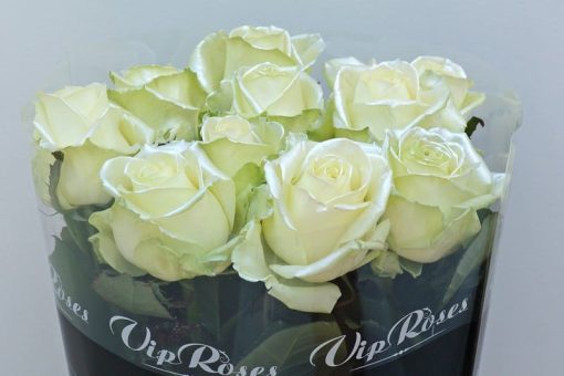 witte satin rozen