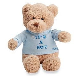 Teddy beer jongen
