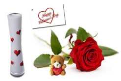 Valentijnsdag 2017 rode roos cadeau