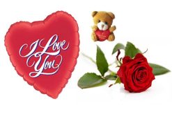 Valentijn rode roos cadeau