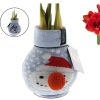 Amaryllis bol wax let it snow