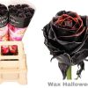 Halloween zwarte wax rozen