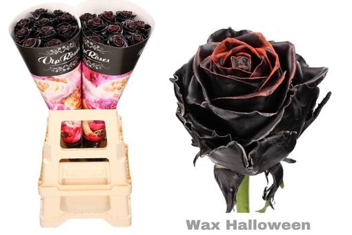 Halloween wax rozen