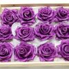 Zijde wax paarse rozen koppen rood