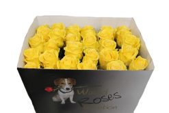 Gele wax rozen