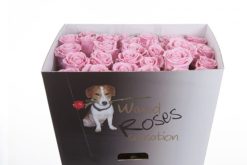 Roze wax rozen