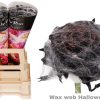 wax spinnenweb rozen Halloween