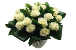 jij bent lief avalanche rozen wit