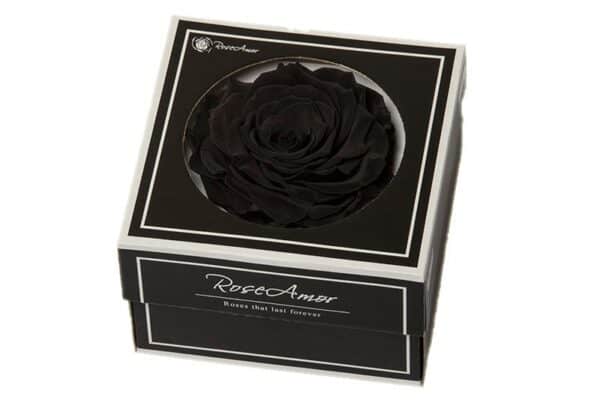 Geconserveerde zwarte roos in cadeaubox