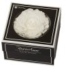 Geconserveerde witte roos in cadeaubox