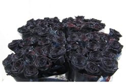 zwart gekleurde rozen