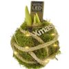 amaryllis led licht witte bloemen