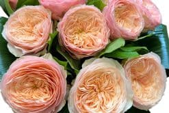 harper rozen boeket