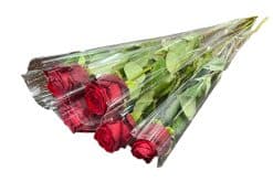 roos per stuk verpakt