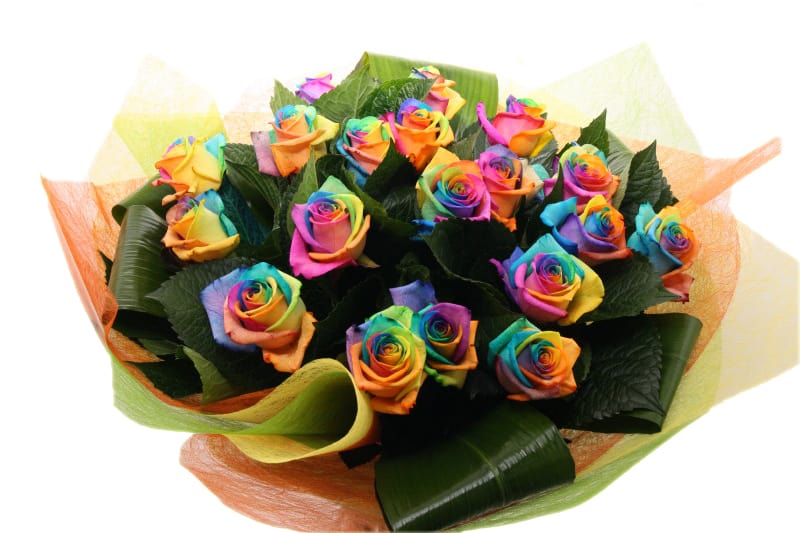 regenboog gekleurde rozen