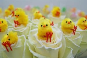 waarom bloemen met pasen bestellen