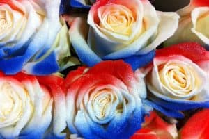 bloemen kopen voor koningsdag