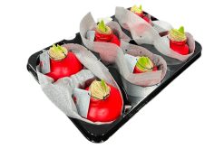 6 amaryllis bol wax rood