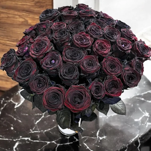 Zwart gekleurde rozen💕

#regioboeket #rozen #rosestagram #flowerofinstagram #flowers #blackrose #blackroses #zwarteroos #royalfloraholland #rijnsburg #katwijk