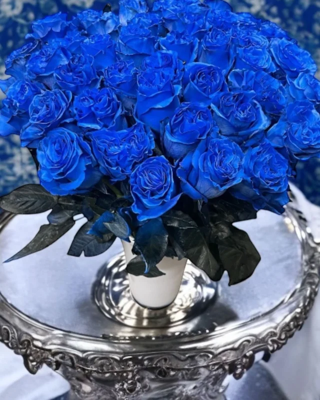 Blauwe rozen bestellen en bezorgen.
#blue #bluerose #blueroses #blauw #blauweroos #rijnsburg #rozen #roses
